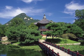 世界乒乓球夜赛社群化运营：粉丝经济成为赛事新增长点，乒乓球世界大赛时间