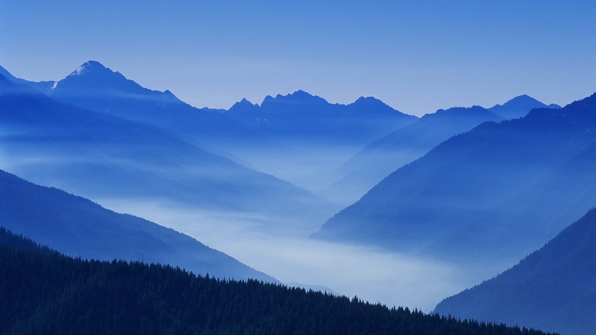 世界乒乓球夜赛社群化运营:粉丝经济成为赛事新增长点,乒乓球世界大赛时间
